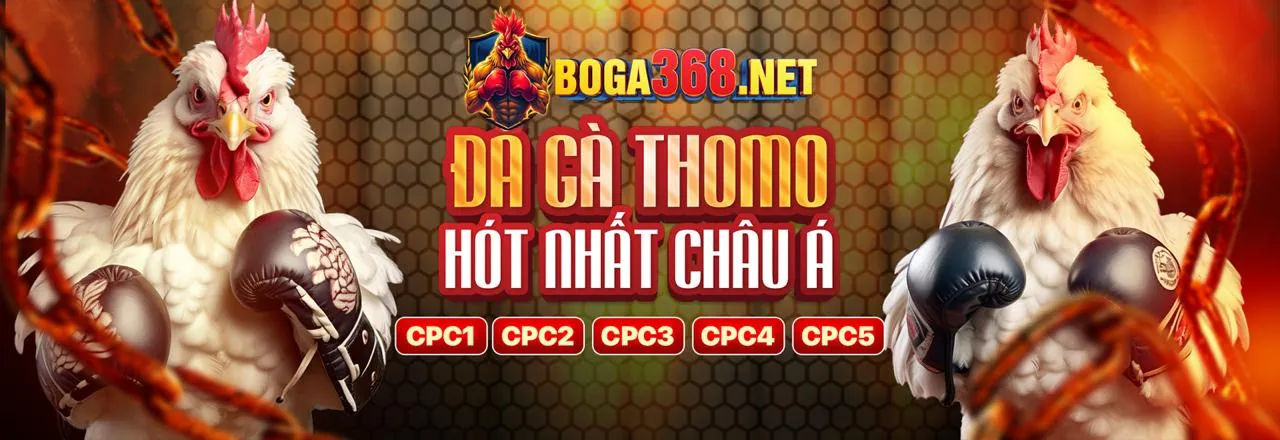 Tổng quan về các ưu đãi mới nhất của awin68 win